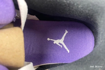 “Dark 404 Air 8793 CT8532- Iris” Jordan Modern 3 0822